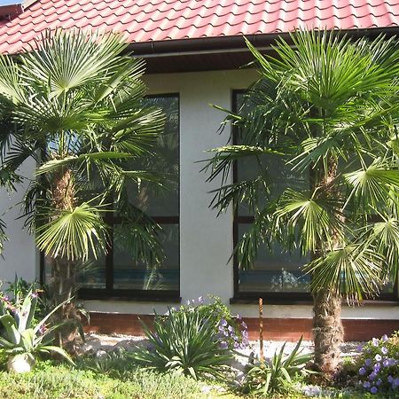 Pokoje Goscinne Pod Palmami 布斯克·兹德鲁伊 外观 照片