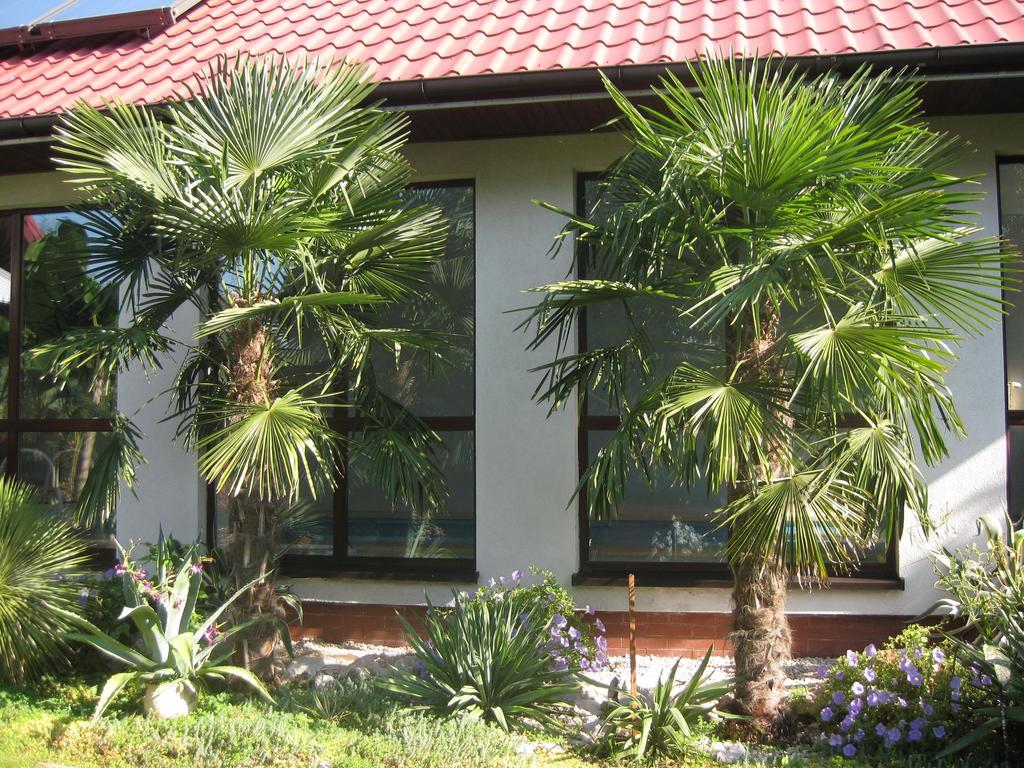 Pokoje Goscinne Pod Palmami 布斯克·兹德鲁伊 外观 照片
